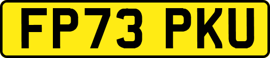 FP73PKU