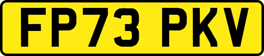 FP73PKV