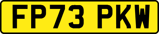 FP73PKW