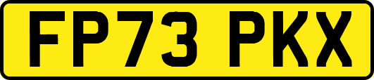 FP73PKX