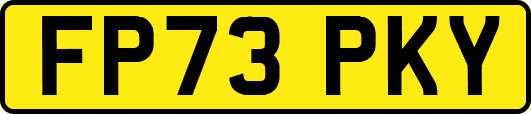 FP73PKY