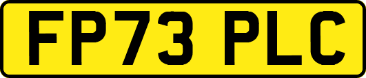 FP73PLC