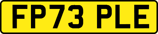 FP73PLE