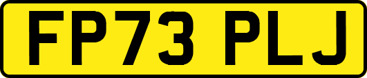 FP73PLJ