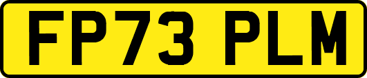 FP73PLM