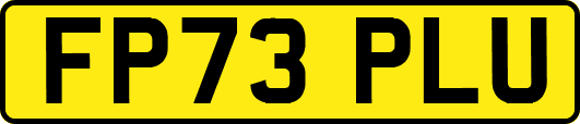 FP73PLU