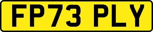 FP73PLY