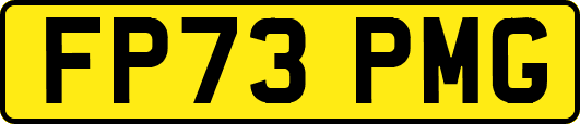 FP73PMG