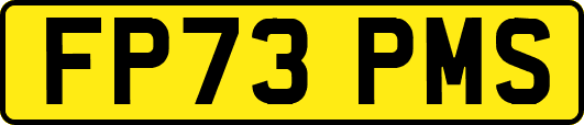 FP73PMS