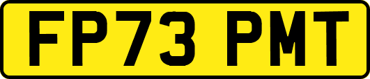 FP73PMT