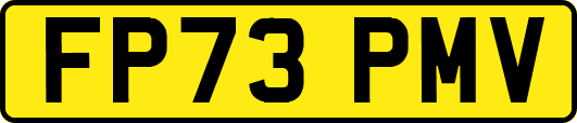 FP73PMV