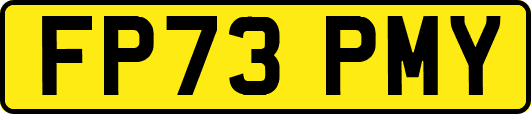 FP73PMY