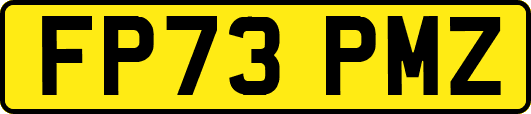 FP73PMZ