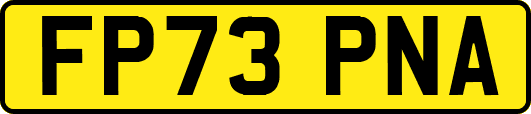 FP73PNA
