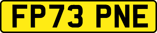 FP73PNE