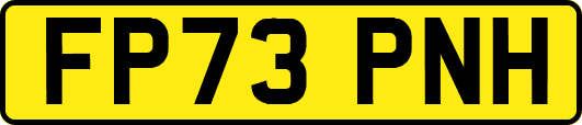 FP73PNH