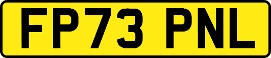 FP73PNL