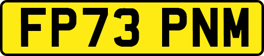 FP73PNM