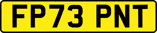 FP73PNT