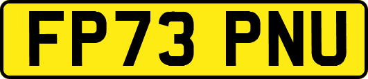 FP73PNU