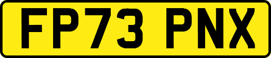 FP73PNX