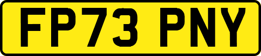 FP73PNY