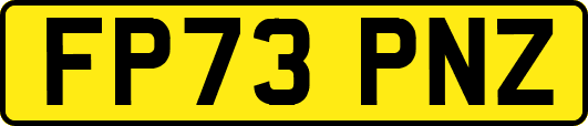 FP73PNZ