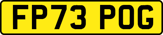 FP73POG