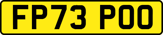 FP73POO