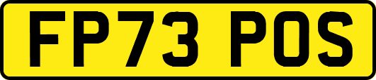FP73POS