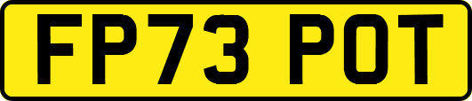 FP73POT