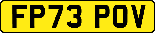 FP73POV