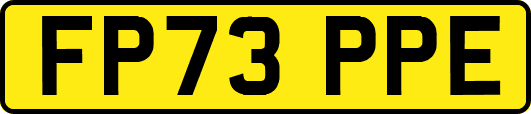 FP73PPE