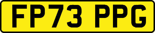 FP73PPG