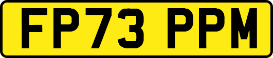 FP73PPM