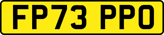 FP73PPO