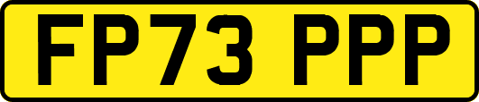 FP73PPP