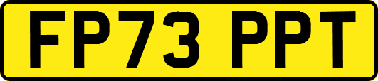 FP73PPT