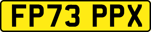 FP73PPX