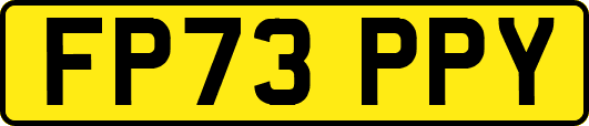 FP73PPY