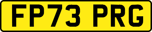 FP73PRG