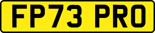 FP73PRO