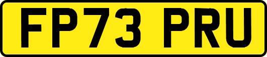 FP73PRU