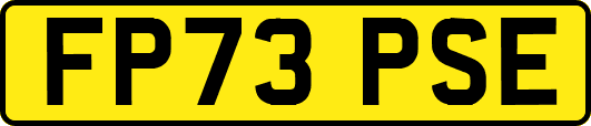 FP73PSE