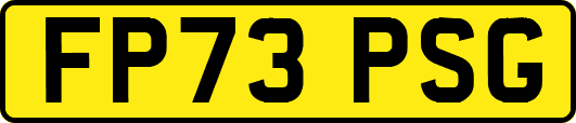 FP73PSG