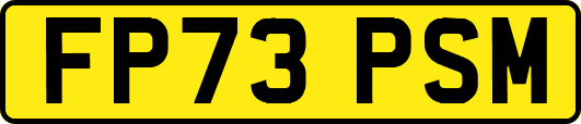 FP73PSM