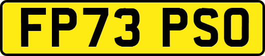 FP73PSO