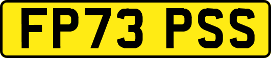FP73PSS