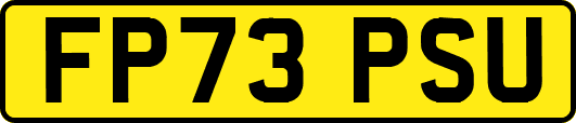 FP73PSU