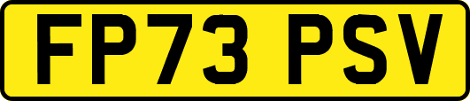 FP73PSV